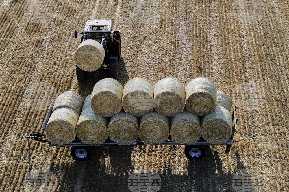 Germany Agriculture