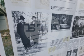 Стара Загора - изложба - Цар Калоян