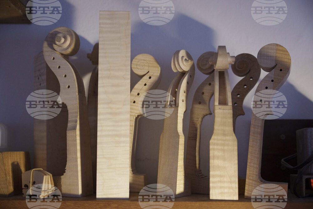 Malaysia Violin Maker