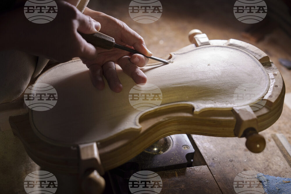 Malaysia Violin Maker