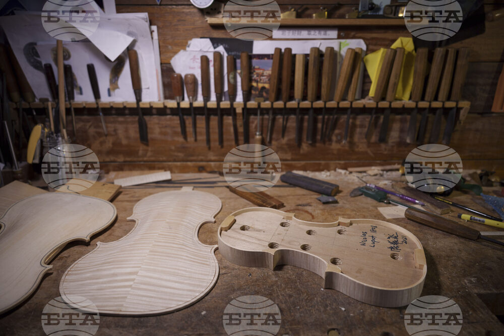 Malaysia Violin Maker