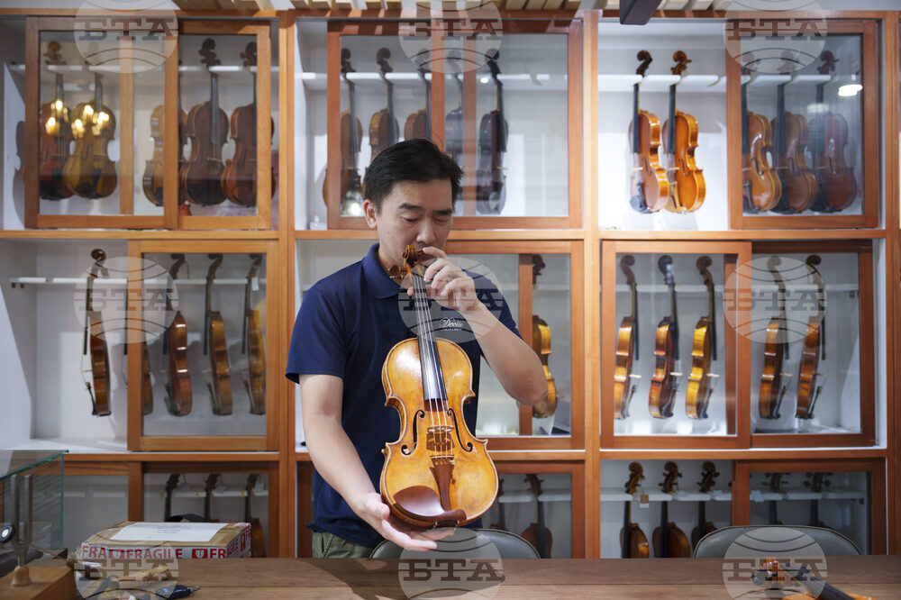Malaysia Violin Maker