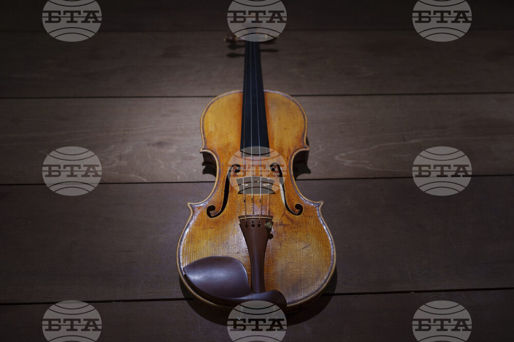 Malaysia Violin Maker