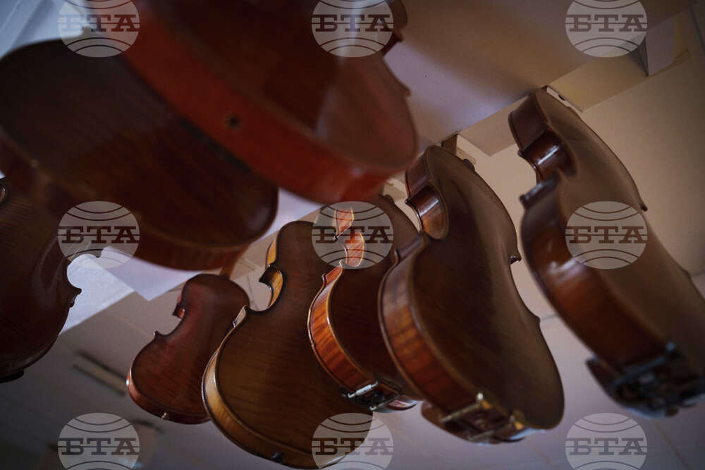 Malaysia Violin Maker