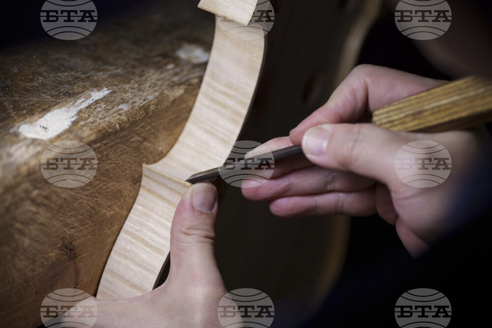 Malaysia Violin Maker