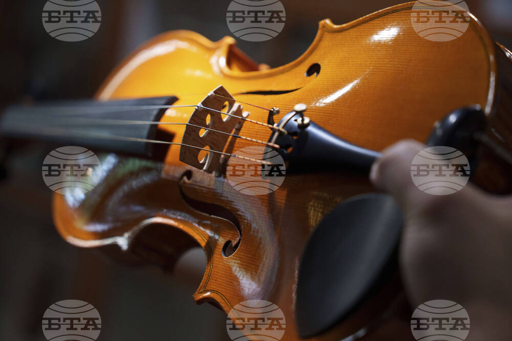 Malaysia Violin Maker