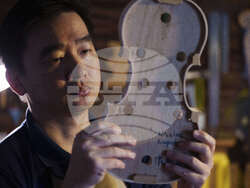 Malaysia Violin Maker