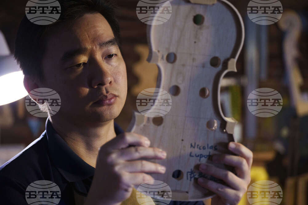 Malaysia Violin Maker