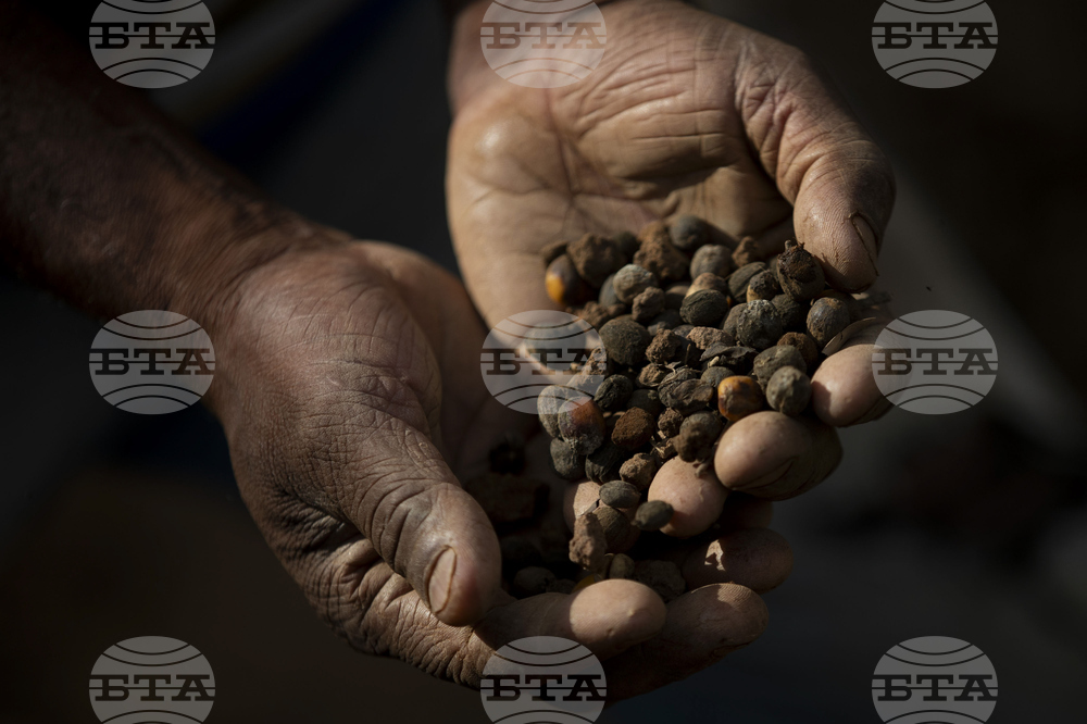Brazil Coffee