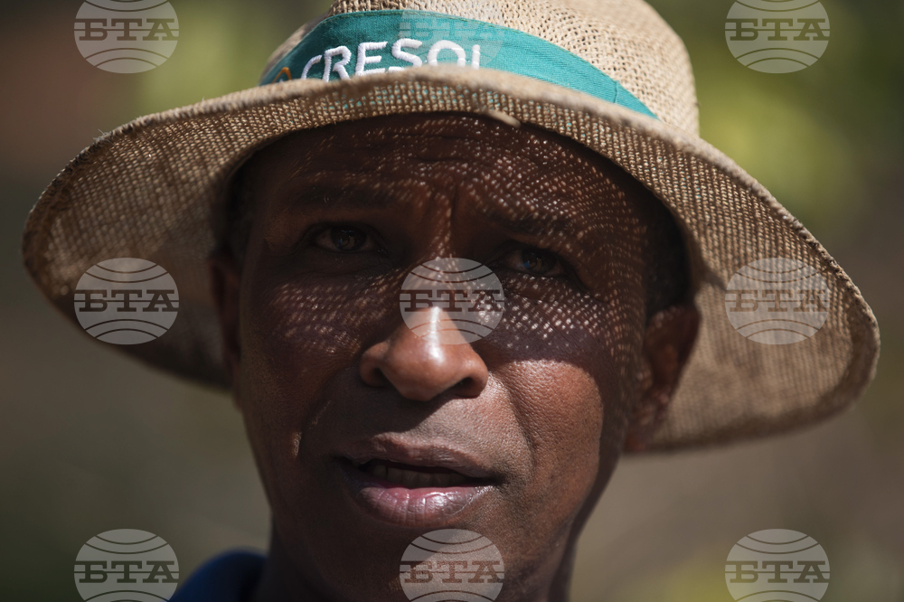 Brazil Coffee