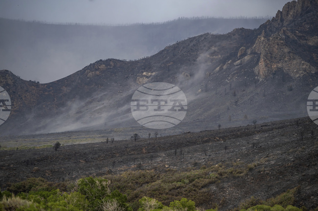 Четири са активните горски пожари на територията на Албания