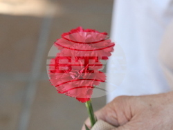 Добрич - Васил Левски - честване