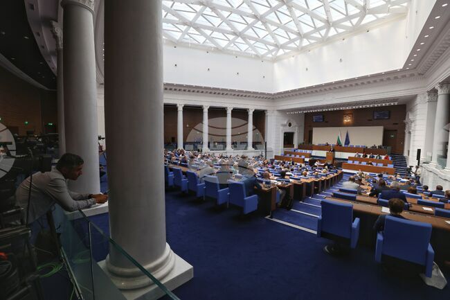 Bulgarian Parliament Increases Penalties for Animal Cruelty