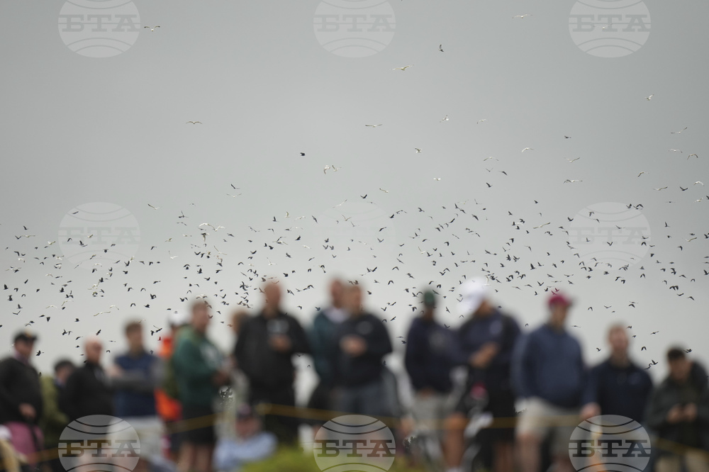 British Open Golf