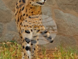 Снимка: Симона Кръстева