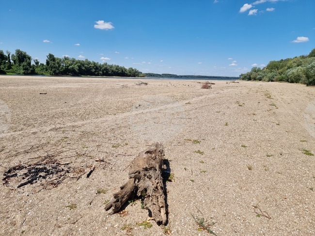 Шестнайсет прага затрудняват корабоплаването в българо-румънския участък на река Дунав 