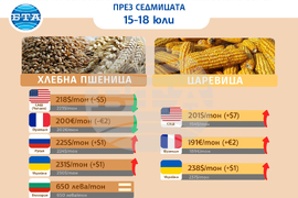 Цени на основни зърнени стоки по световните борси и на ССБ през седмицата 15 - 18 юли