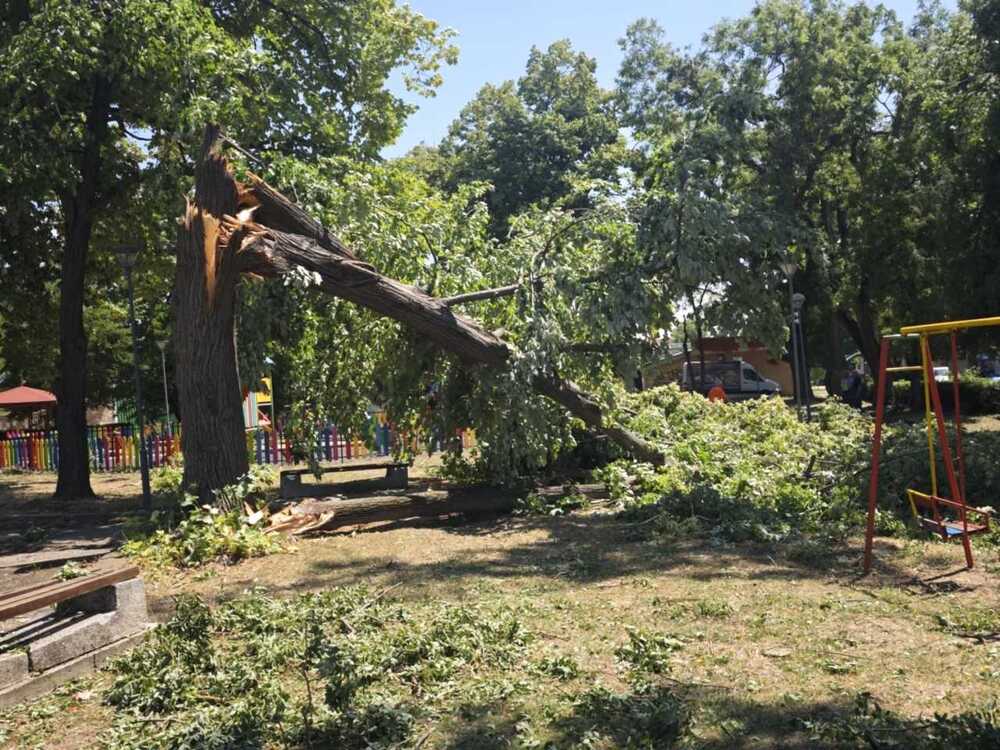 Работна група извърши оглед на щетите, нанесени от лятната буря в община Плевен