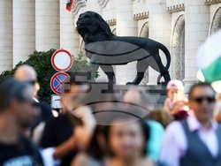 Протест - "Нямате белезници за всички!"