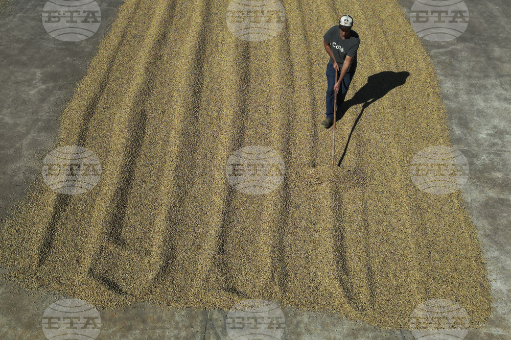 Brazil Coffee