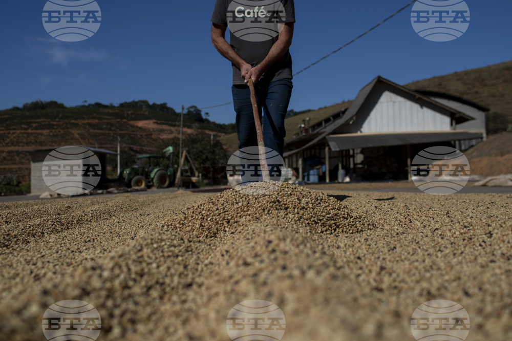 Brazil Coffee