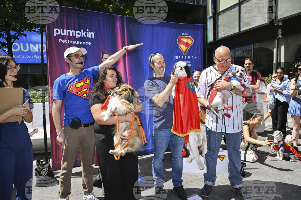 Pumpkin Pet Insurance's Krypto the Superdog Look-Alike Contest