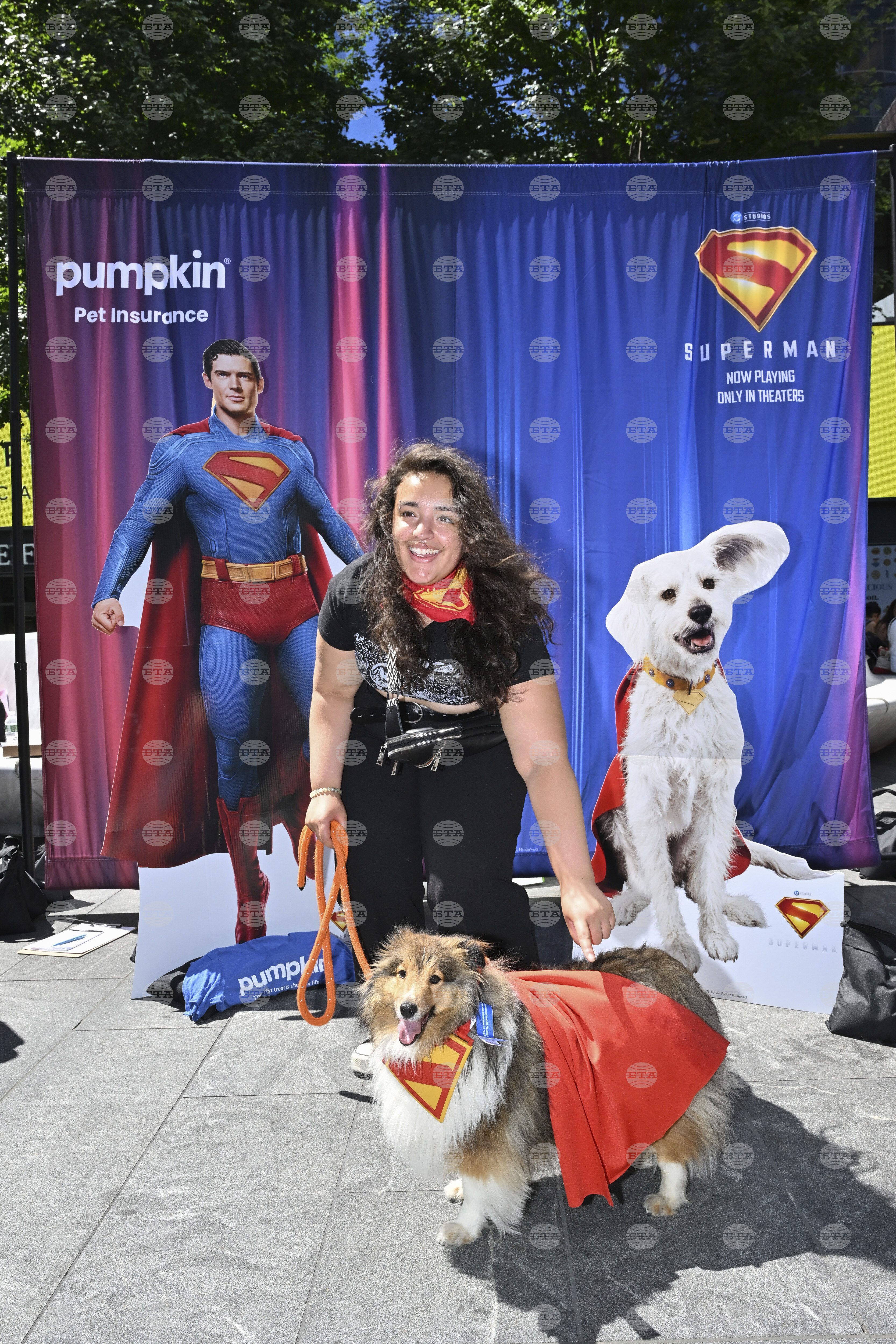 Pumpkin Pet Insurance's Krypto the Superdog Look-Alike Contest
