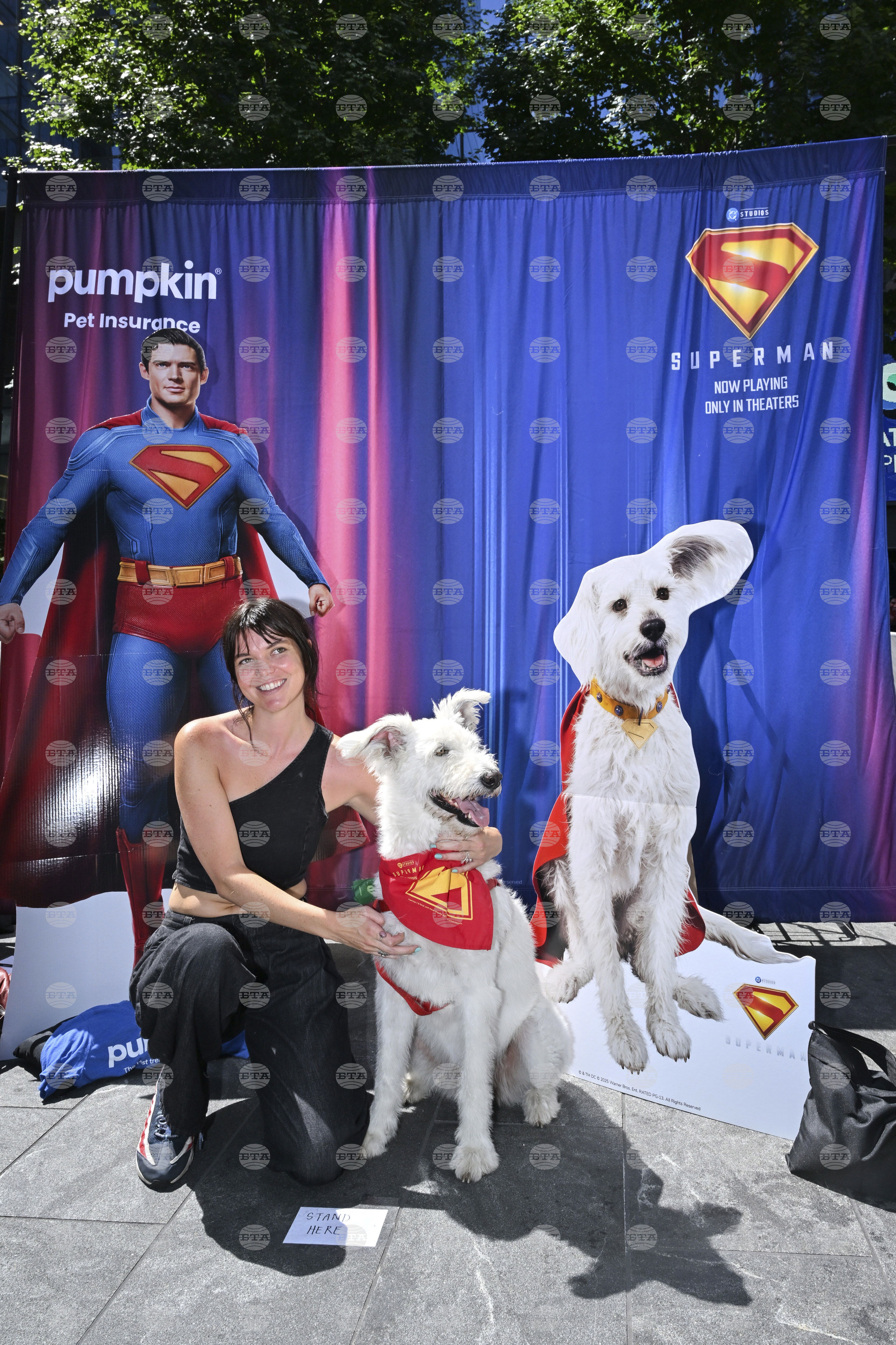 Pumpkin Pet Insurance's Krypto the Superdog Look-Alike Contest