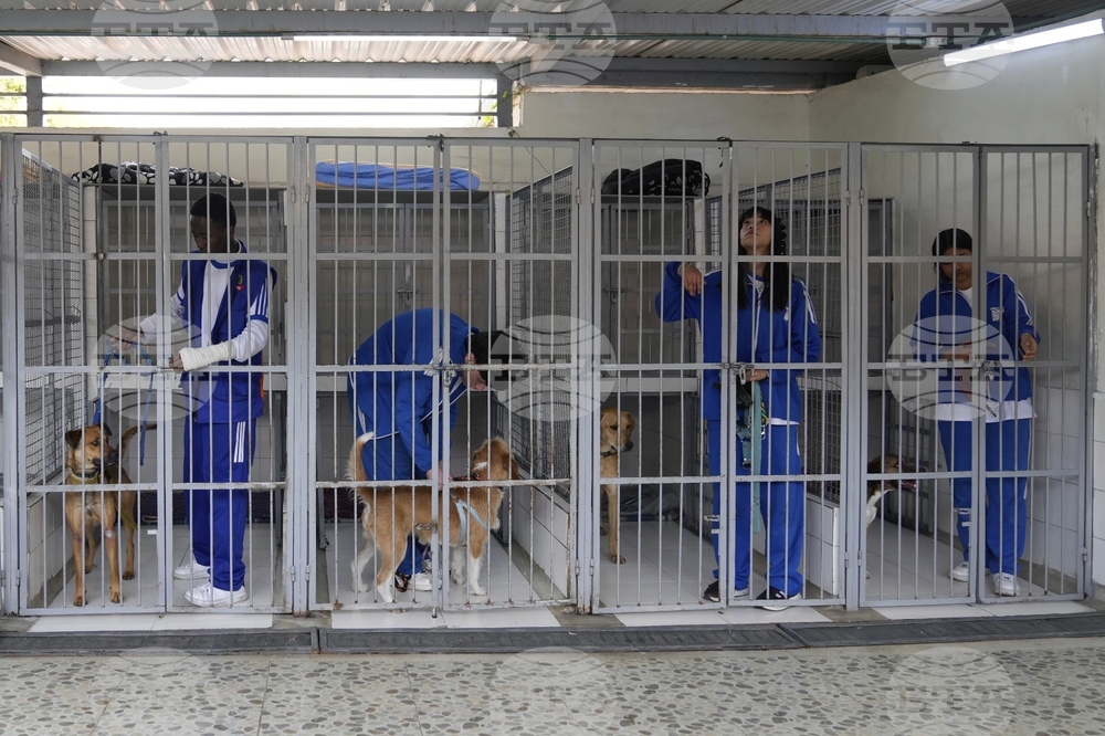 APTOPIX Colombia Animal Shelter