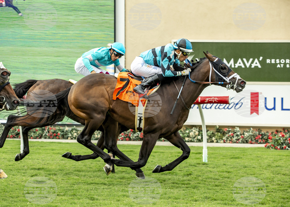 Oceanside Stakes Horse Racing
