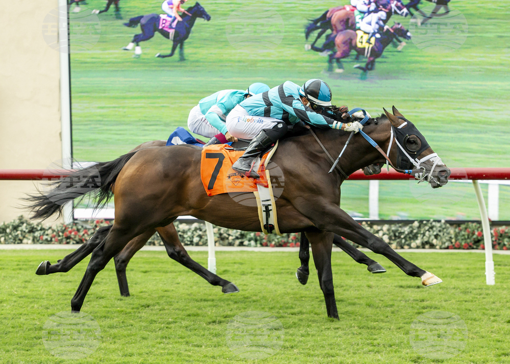 Oceanside Stakes Horse Racing