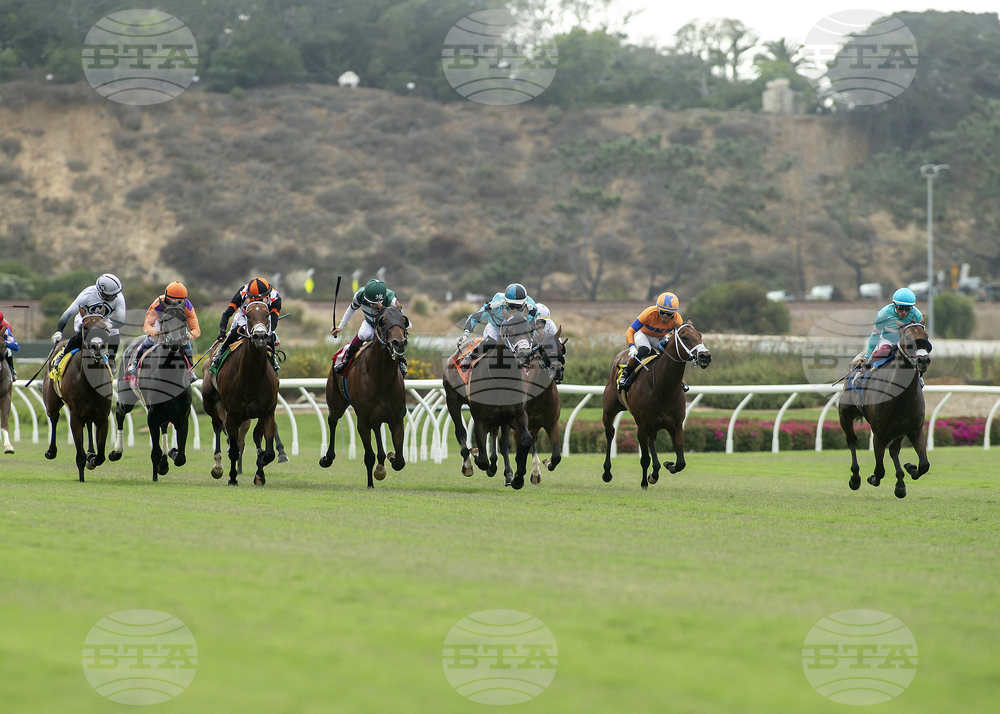 Oceanside Stakes Horse Racing