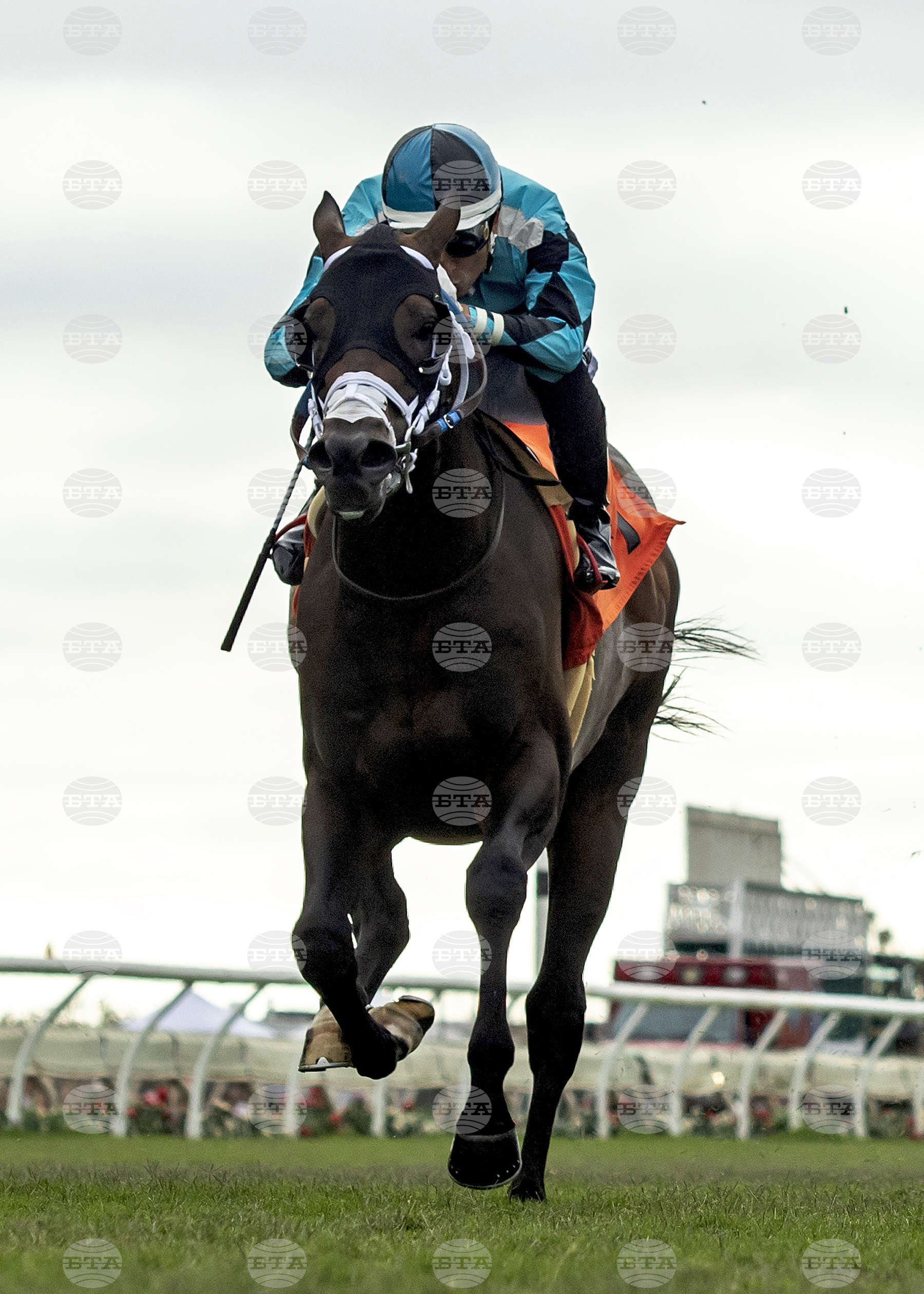 Oceanside Stakes Horse Racing
