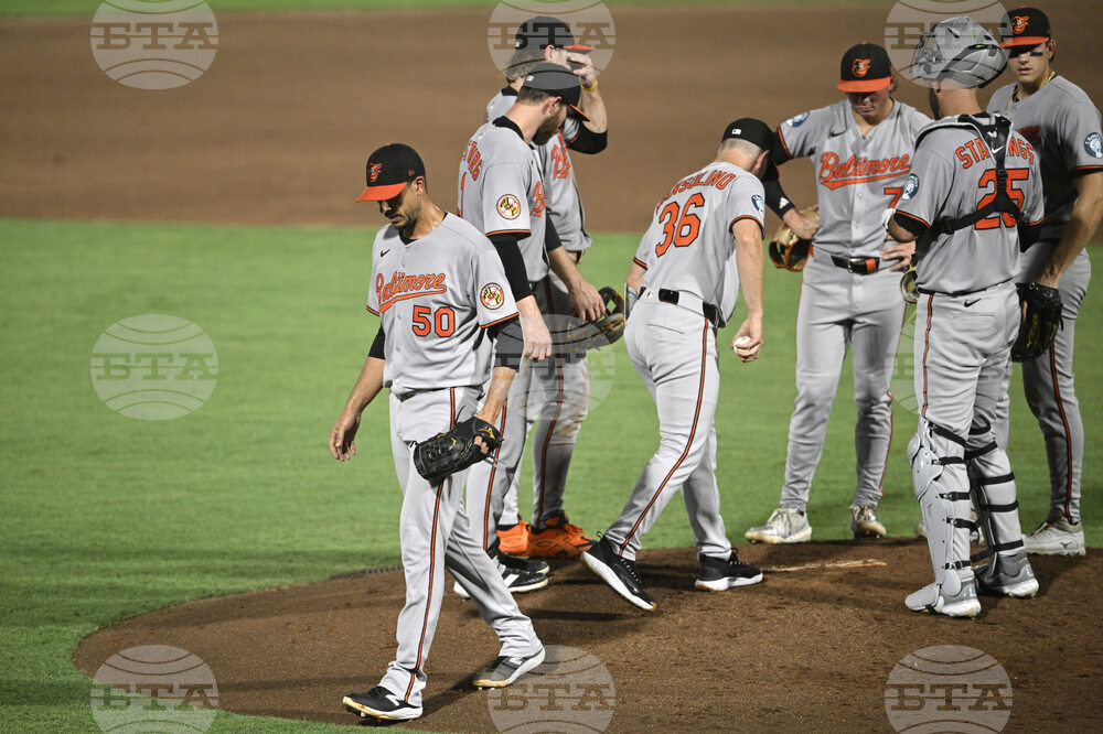 Orioles Rays Baseball