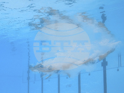 Singapore Swimming Worlds