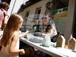 „Голямата маса“ - инициатива