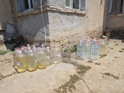 Село Александрово - безводие - жители - протест