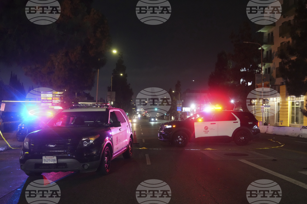 Los Angeles Vehicle into Crowd