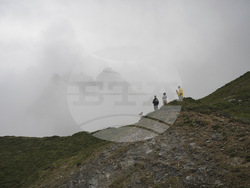 Cycling Tour de France