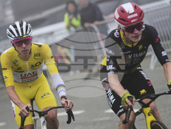 Cycling Tour de France