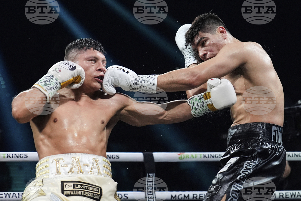 Cruz Salcido Boxing