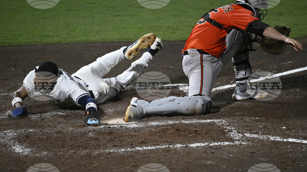 Orioles Rays Baseball