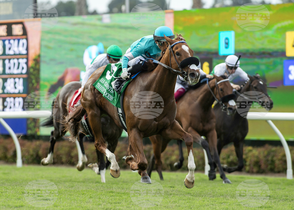 San Clemente Handicap Horse Racing