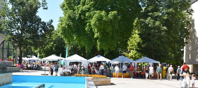 В Разград започна конкурсът за най-добър производител на млечни продукти