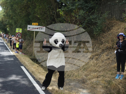 Cycling Tour de France
