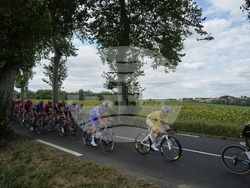 Cycling Tour de France