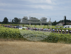 Cycling Tour de France