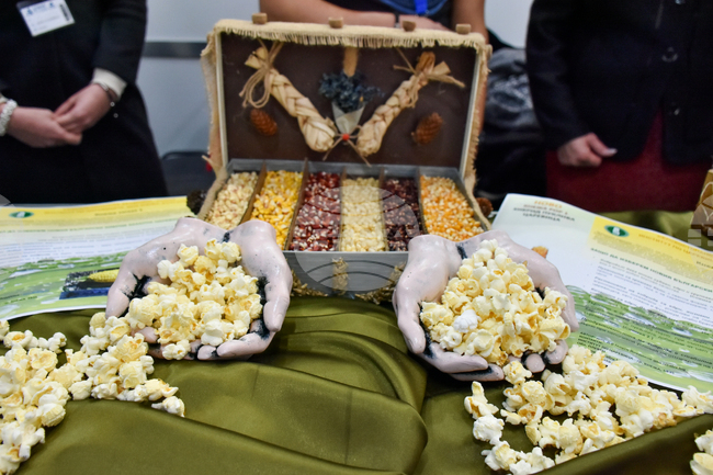 Около 60 изложители от България и чужбина ще се включат в тазгодишното издание на Международната изложба "Фудтех" в Пловдив