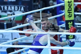 Бокс - Международен турнир за Купа "Странджа"