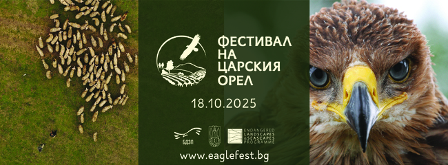 Topolovgrad to Host Eastern Imperial Eagle Festival on October 18